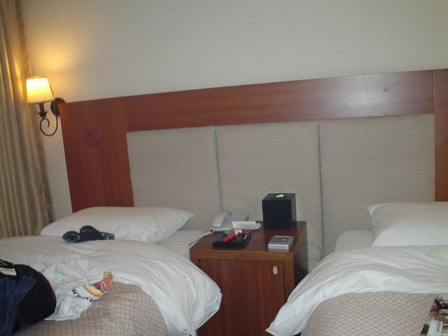 まずはホテルにチェックイン<br /><br /><br />翌日には日本に帰るため、早速観光に出かけます。