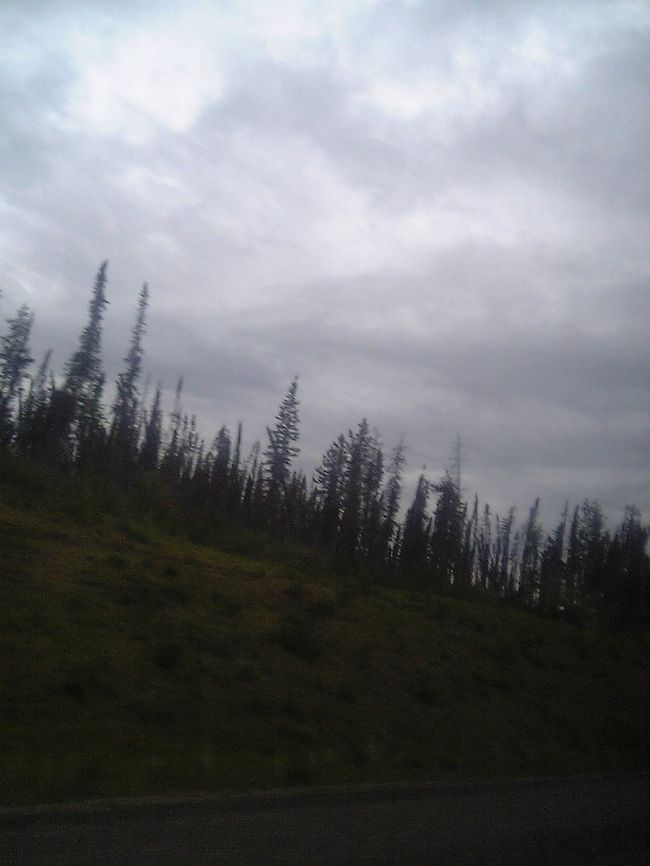 いっぱいいます。