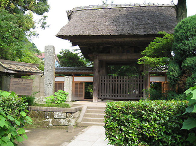 成就院の人ごみの多さにちょっとがっかりした私は、極楽寺に向かいました。こちらはすぐ近くですが、人もおらず、ひっそりとしていました。