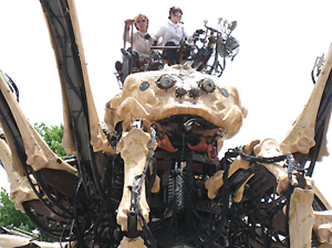 アップで正面からみると、結構グロいです。<br />でもやはり真下から見上げると、迫力はありました。