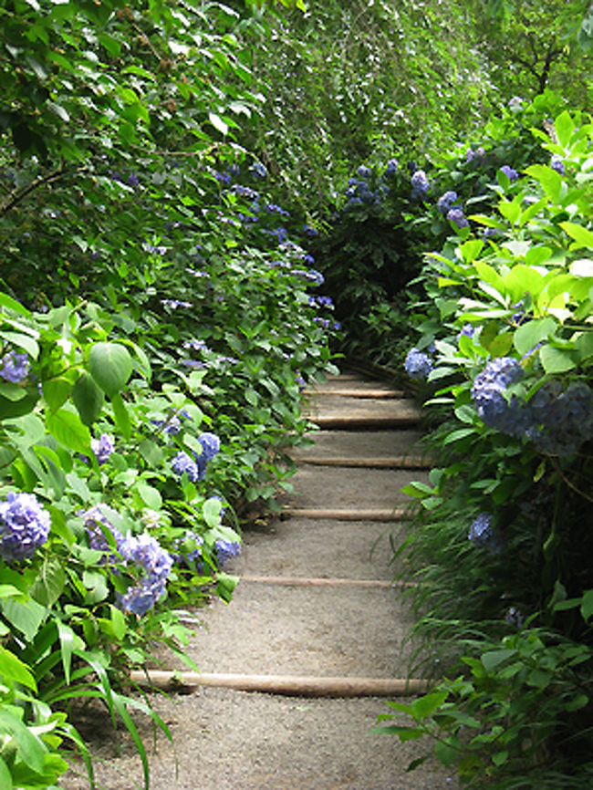 人ごみも思ったほど多くないため、ふっとした瞬間に人のいない写真を撮ることができます。