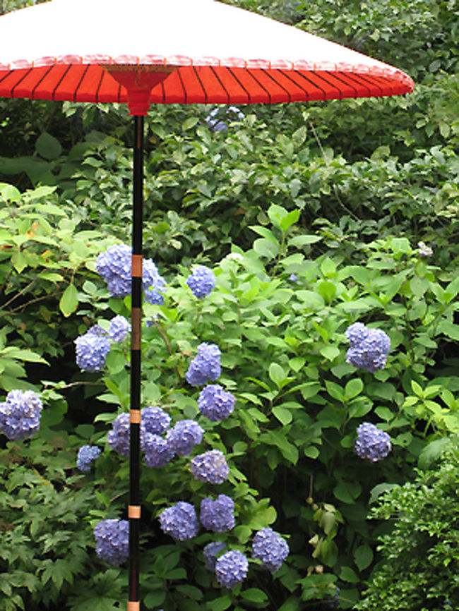 紅い傘とのコントラストも風情があります。