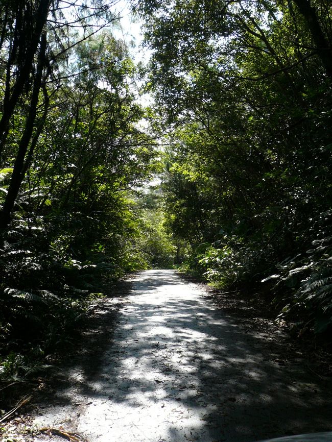 車一台しか通れない程の細い道をスルスル進みます。