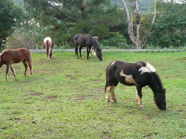 到着。<br /><br />牛さんがお出迎え。