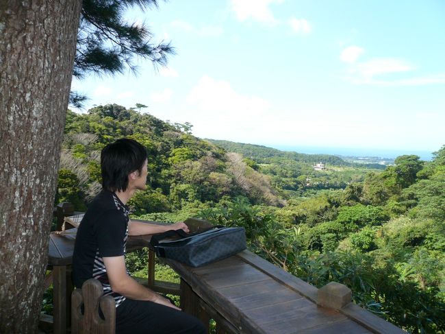 見晴らしの良いツリーテラスで一休み。<br /><br />緑の向こうには海が見えます♪