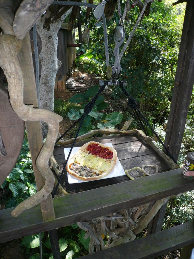 樹の下からランチ登場！！