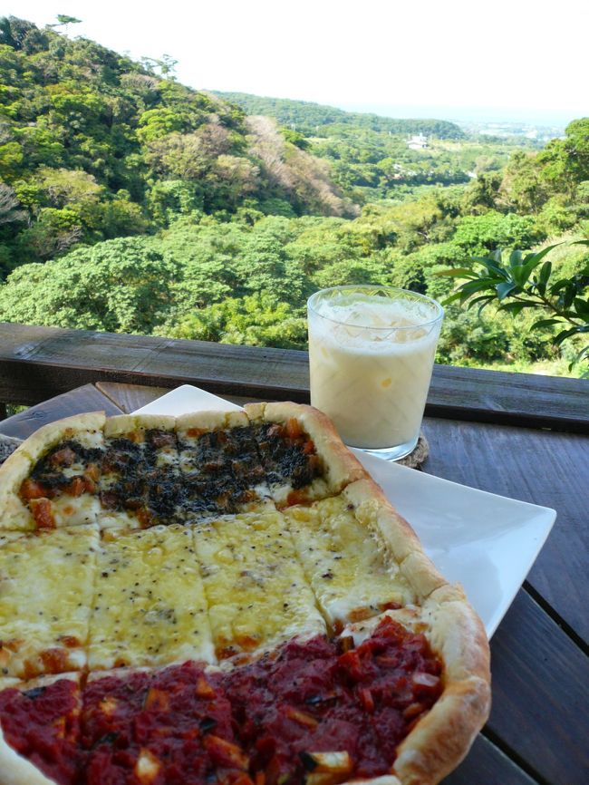 見た目も味もGOODなラスタカラーのピザ＆パパイア豆乳♪
