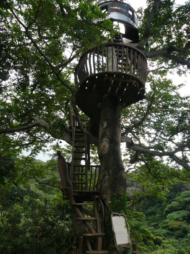 食後はビーチロック内をウロウロ…<br /><br />ツリーハウスてっぺんにはカプセルの様な屋根付きの部屋が見えます。