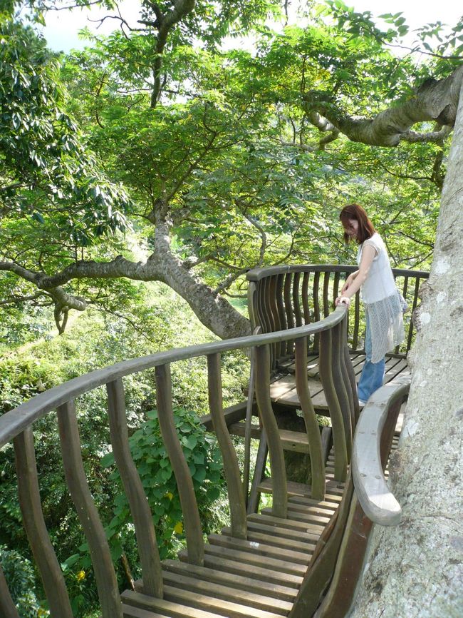 子供に戻った気分です。