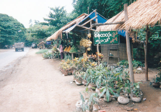 バナナが吊ってありますね<br /><br />道路沿い　ヤンゴン〜パガン間<br />  