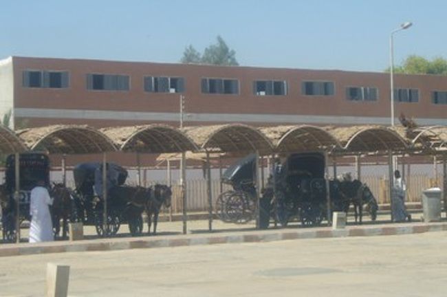 バスに戻る途中、奥に馬車がたくさん並んでいました。馬車で来る観光客も多いみたい。<br /><br />ところで、ここでもトイレに寄りました。<br />チップおじさんが立っていたのですが、私の後から来た白人女性は「お金ないわよ」とジェスチャーしたら、チップ払わなくてもＯＫでした。そうか。小銭ない時はそうすればいいのね、なんて思ったけど、マネできないだろうな〜（＾＾；