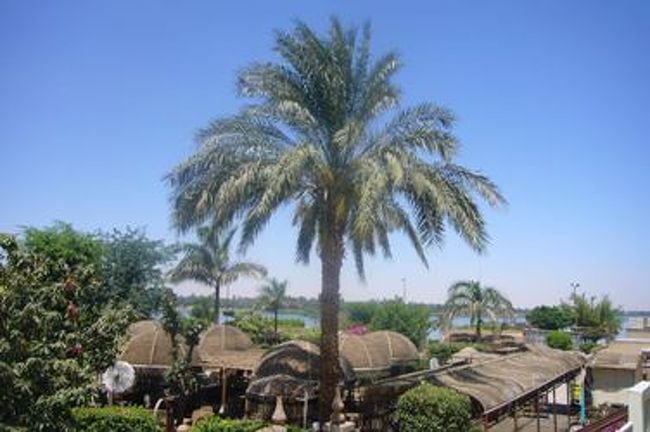 お次は、コム・オンボ神殿へ。<br />バスを降りて、こんな景色を眺めながら入口へ向かいます。