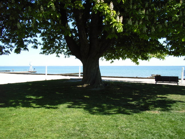 近くで見るとこんなに大きい。