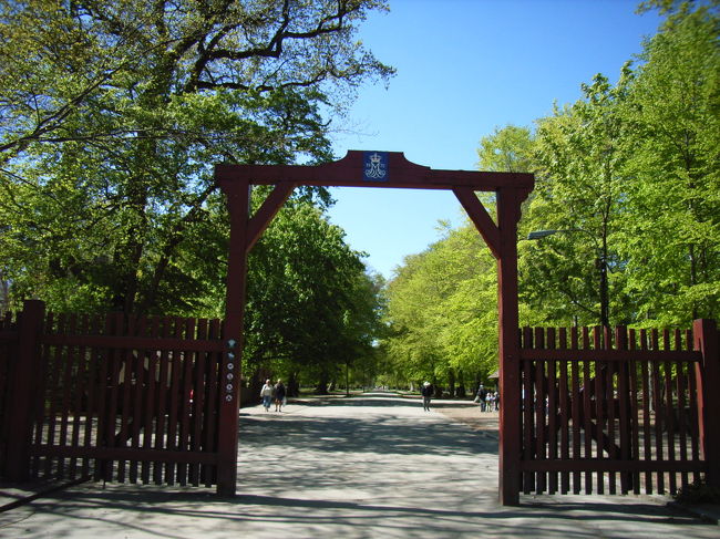 クランペンボー駅に戻り、ベルビュー・ビーチとは逆側に向います。駅からコペンハーゲン側を向いて、右側に行くとベルビュー・ビーチですが、反対の左側にはバッケン遊園地（Dyrehavsbakken）のある、鹿公園（Dyrehaven）があります。 