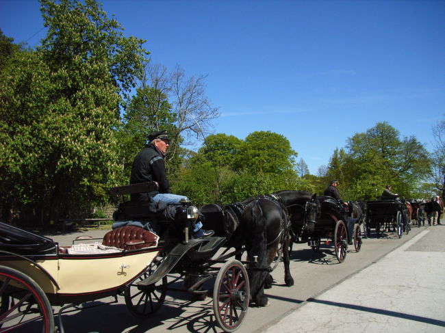 馬車を発見しました。