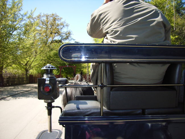 馬車の運転手さんに聞いてみると、短時間でお手頃なのが15分くらい森の中をぐるっとまわって遊園地前で降りるというコース。値段は150DKK（2007年現在）でした。