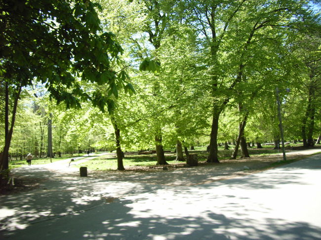 馬車に乗り込みます。この森は東山魁夷の絵のモデルにもなっているそうです。本当にどこに迷いこんだのだろうと思わされるような幻想的な雰囲気でした。 <br />