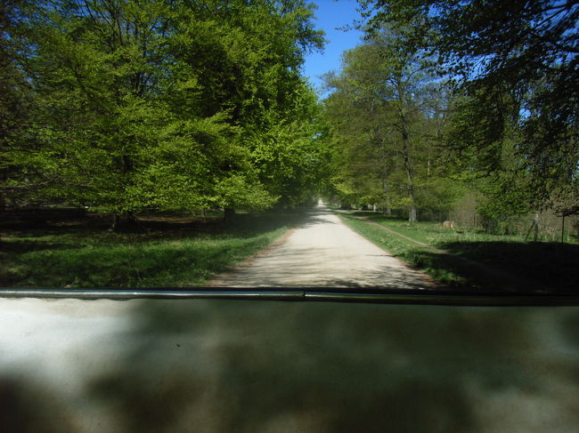 森の中を走る馬車の上では気持ち良い風が吹いていて、歩き疲れた足も小休止。パカッパカッと大地を蹴りながら前へと進んでいく馬の蹄の音だけが聞こえました。