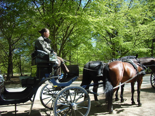 この馬車に乗りました。