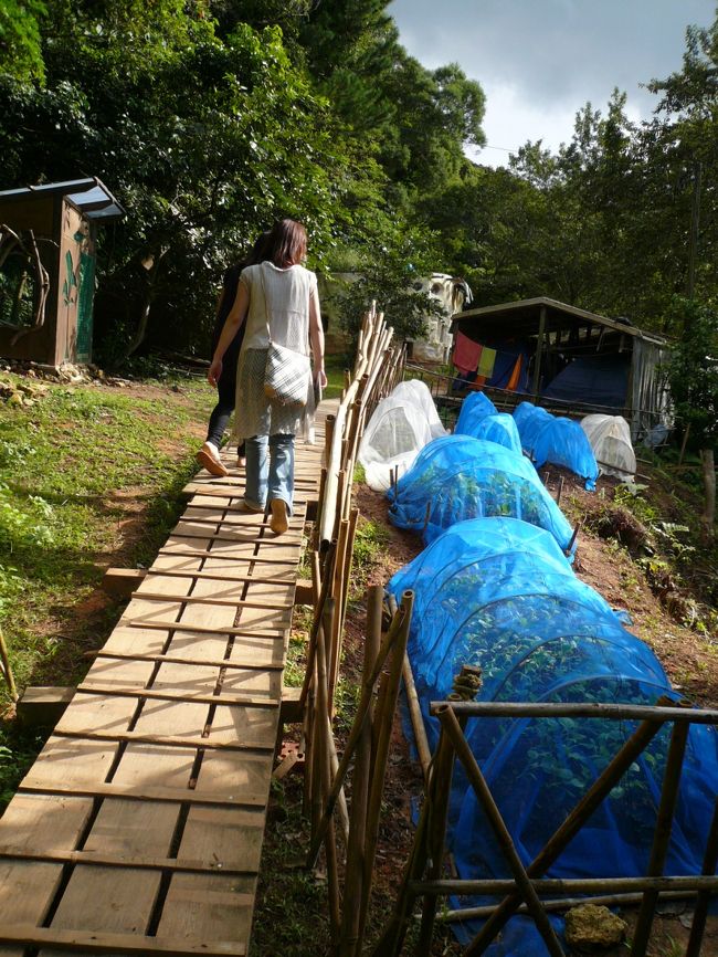 食べ物は出来るだけ自家栽培をしているそうで、お米を作ったりもしているそうです。