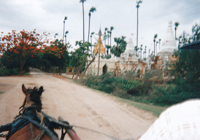 ブーゲンビリアでしょうか<br /><br /><br />インワ