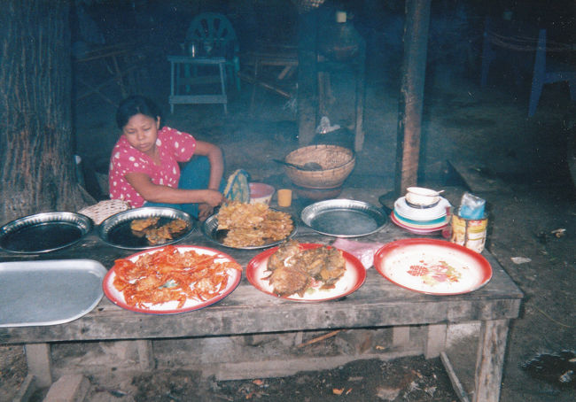 魚の揚げものです。<br />食べられないなぁって見ていたら、後ろからおじいさんが「イチカワシゲルセンセイ！」と呼びながら近づいてきました。私は市川茂ではありませんが、どうやら戦争（第2次大戦）時、日本軍が駐屯していて、その時に市川茂先生に日本語を習ったというのです。日本の歌も歌っていました。こんなところにまで進攻していたんですね。<br />インパールやコヒマは、地図を見るとマンダレーからまだ500キロぐらいありそうです。この暑さや道路状況から想像すると相当困難な行軍だったことでしょう。<br /><br />インワ<br />