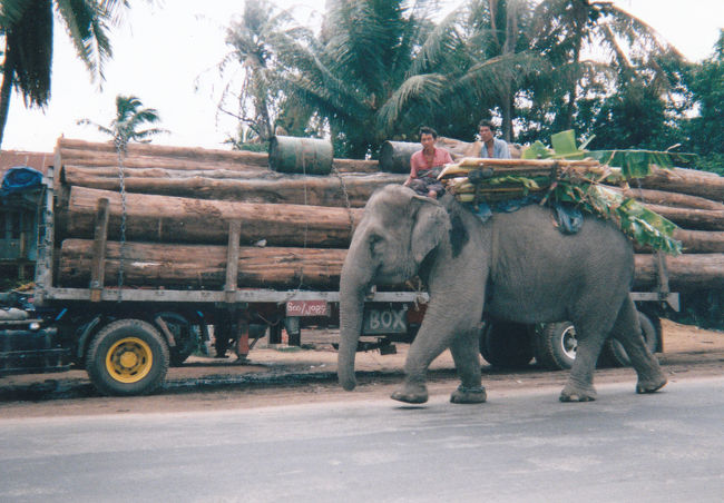 象が普通に木材を運んでいました。<br /><br />マンダレーからヤンゴンへ向かう途中