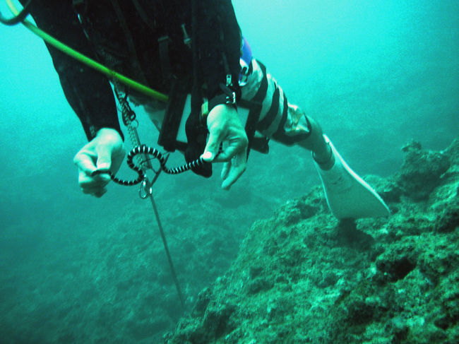 こちら１本目のポイントは真栄田岬の先端でございます。<br />きゃぁぁ〜海蛇掴んでます。<br />咬まれたりしないのかなぁ？しないのでしょうね。<br /><br />何だか海蛇の多い所でした。