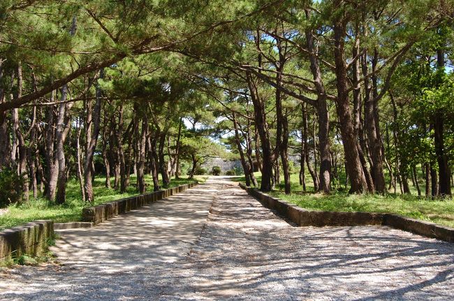 なんだか、きれいですねぇ♪