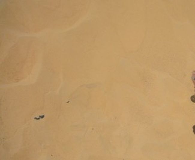 そのあと、サラッサラな砂のところで、砂取りタイム。<br />飲み終わったペットボトルに少し入れて、持って帰りました。