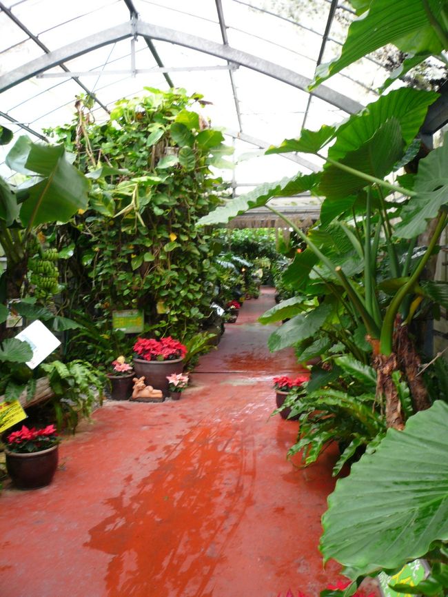 「沖縄フルーツランド」＠￥８００→KNTクーポンで無料！！