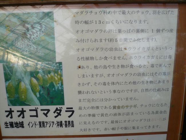 解説は<br /><br />←左の通りです。