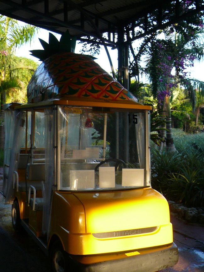 「ナゴパイナップルパーク」に来ました。<br /><br />＠500→KNTクーポンで無料！！<br /><br />園内に入場するとまずこちらのパイナップルカートに案内されます。