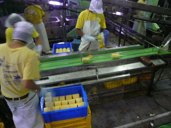 厚い皮をさらりと剥いて、芯をスパッと抜き、あっという間に実だけの状態になります。<br /><br />缶詰、ワイン、ケーキ、ゼリーなど色々な商品になります。<br />この後売店で試食＆試飲タイム♪<br /><br />パインの味、香りが生かされていてどれも美味しいです！