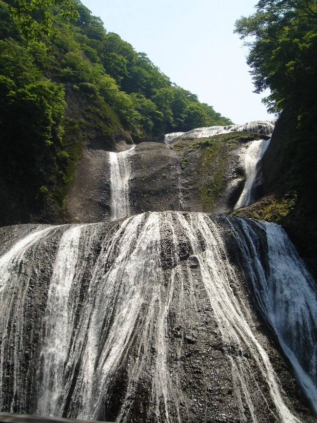 この日は曇りでしたが、結構蒸し暑い･･･。<br /><br />涼しいトンネルを抜けたら、観瀑台へ。<br /><br />袋田の滝は「華厳の滝（栃木県）」と「那智大滝（和歌山）」と並んで「三名瀑」のうちの一つです。
