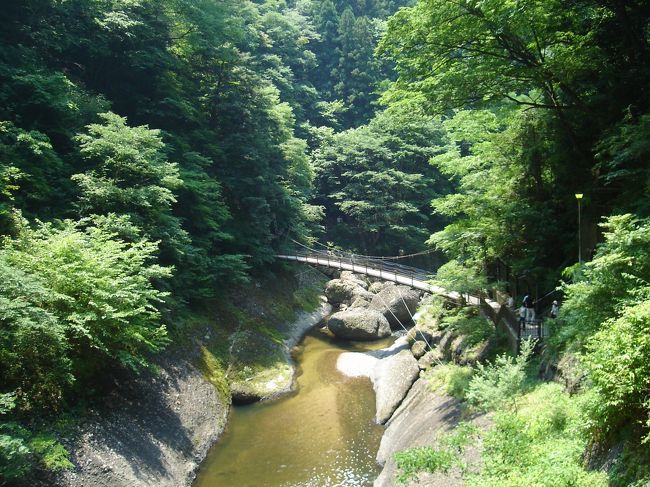 吊り橋も見えます。<br /><br />後で行ってみよう（*^_^*）