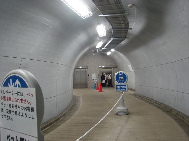 ２００８年９月にできた、新しい観瀑台へは<br />エレベーターで上ります。