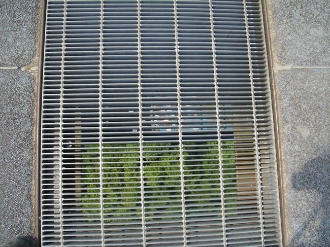 湖面からの高さは１００ｍ。<br />隙間から恐る恐る覗いてみる･･･(^_^;)