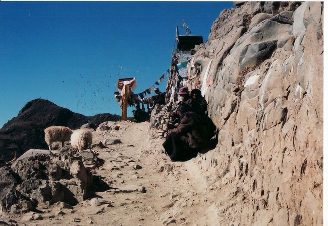 ついて早々コルラ