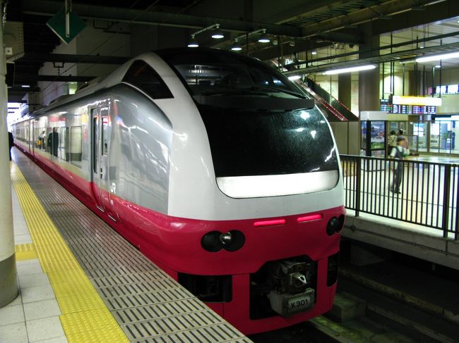 E653系，カラフルだ．