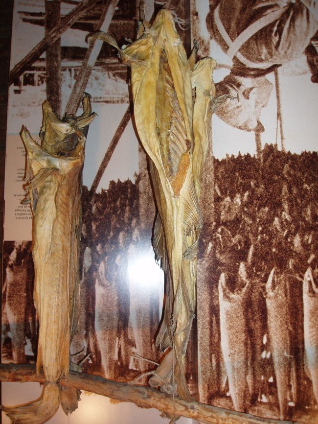 館内のあちこちにタラの干物がありますがいつのものでしょう？