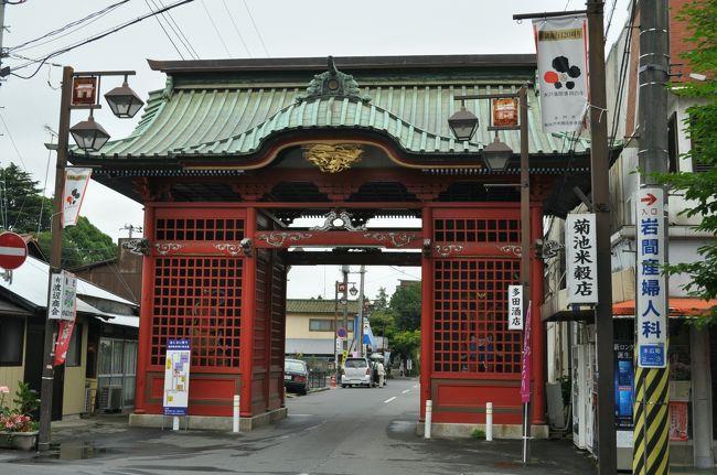 寺の名を大悲山保和院（だいひざんほわいん）桂岸寺といいます。遠く元禄時代、徳川光圀公（水戸黄門）が寺の庭を愛されて保和園と名付けられたのが始まりといわれています。<br />昭和初期、地元有志の手によって拡張整備され、池に築山を配した純日本庭園になり、名前も「保和苑」となりました。<br />昭和25年、桂岸寺より水戸市へ移管されたことにより、昭和36年地元と市による保和苑振興協議会が発足し、運営されています。<br />昭和30年代、苑を拡張してあじさいの植栽が行われました。初夏になりますと、国内（面積1.5ha）の３０数種類、約６，０００本のあじさいが咲き競い「水戸のあじさいまつり」が盛大に開催されます。<br />以上http://www.mitokoumon.com/shisetsu/kankou/howaen.html