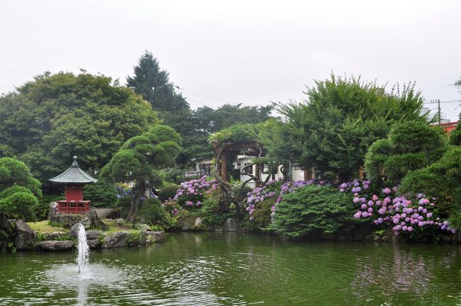 これで池の周りを1周