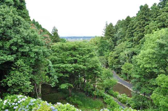 高台から川の方，北側を見る．那珂川にむかって低地になっている．