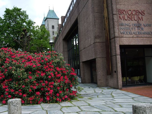 街中はシャクナゲやライラック等が花盛りでした