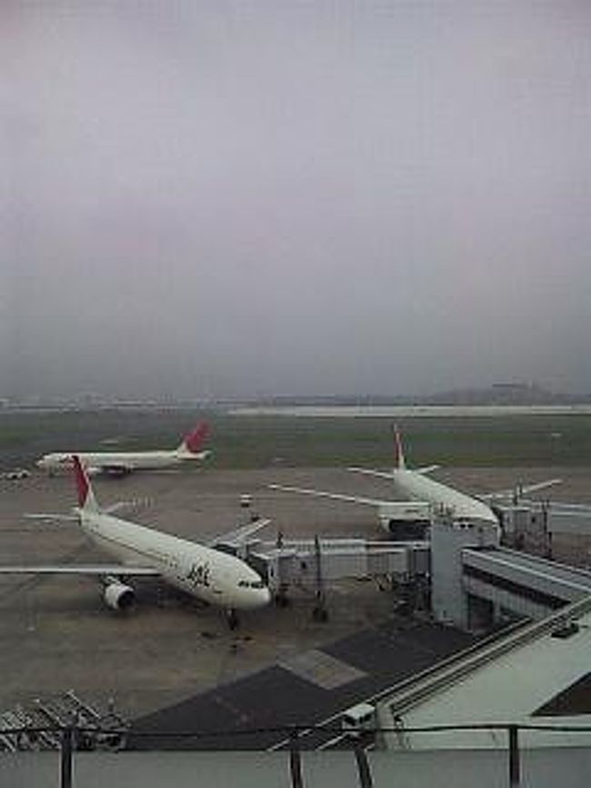  羽田空港。速く着いてしまったので、展望台から飛行機の写真を撮ってみました。天気がいまいちだな…。まだ梅雨が明けないし、沖縄はやっぱり雨かしら。。。