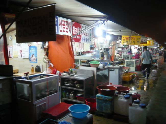 2009/06/28　01:24:42　を降りたあと。<br /><br />チャガルチ市場へ<br /><br />本日の、夜食の夜食。<br /><br />アナゴの。。。。<br /><br />辛かったです。<br /><br />就寝時間は、<br /><br />2009/06/28　03:00:00<br /><br />