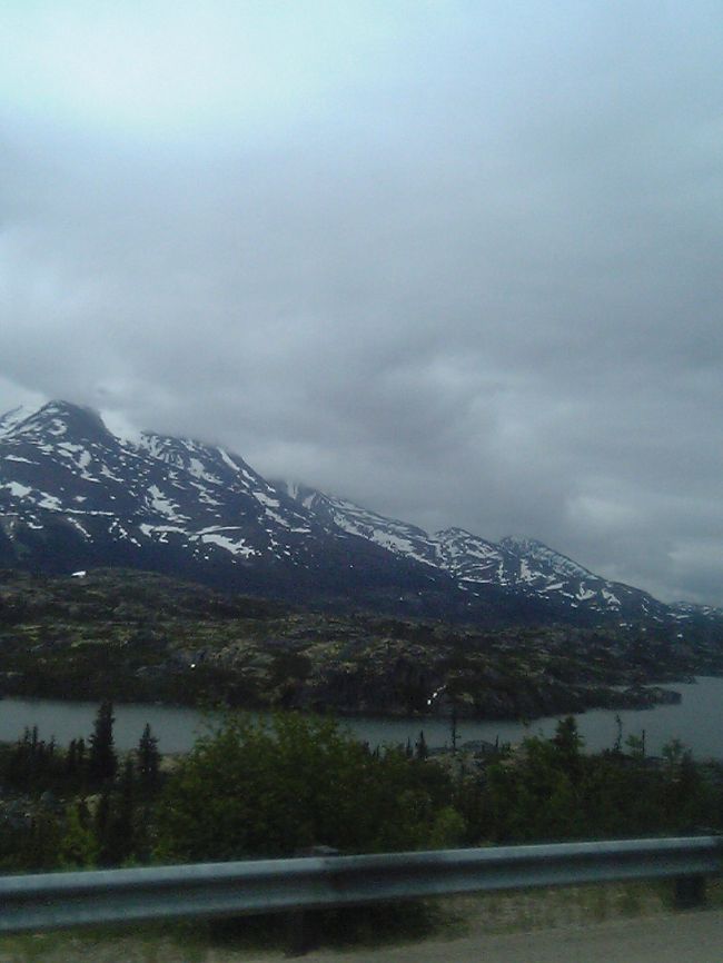 なにか湿原のようなものが見えてきました。