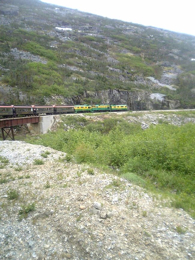 こんな感じで走っています。