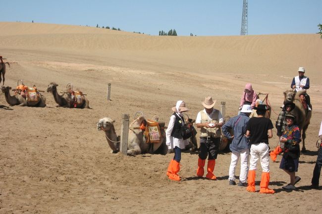 2009夏、中国旅行記16(21/39:シルクロード):6月23日(5):敦煌 2009夏、中国旅行記16(21/39:シルクロード):6月23日(5):敦煌